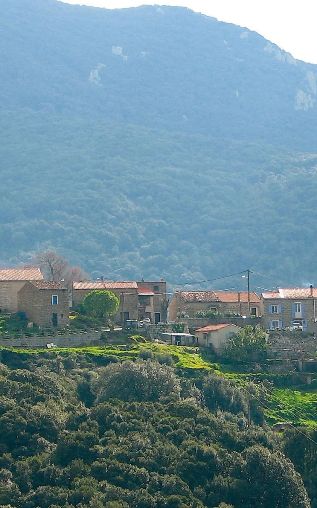 Granacce