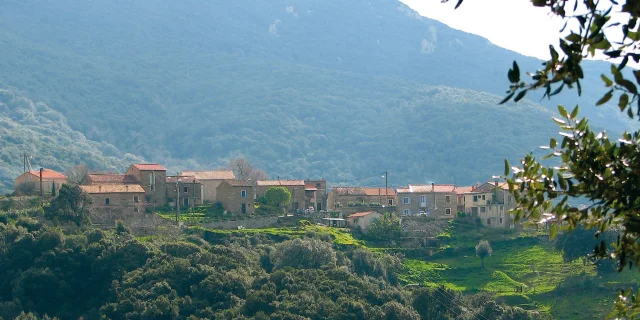 Granacce