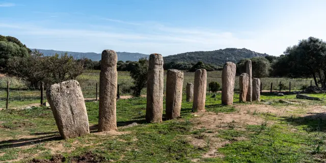 Alignement De Menhirs A Cauria