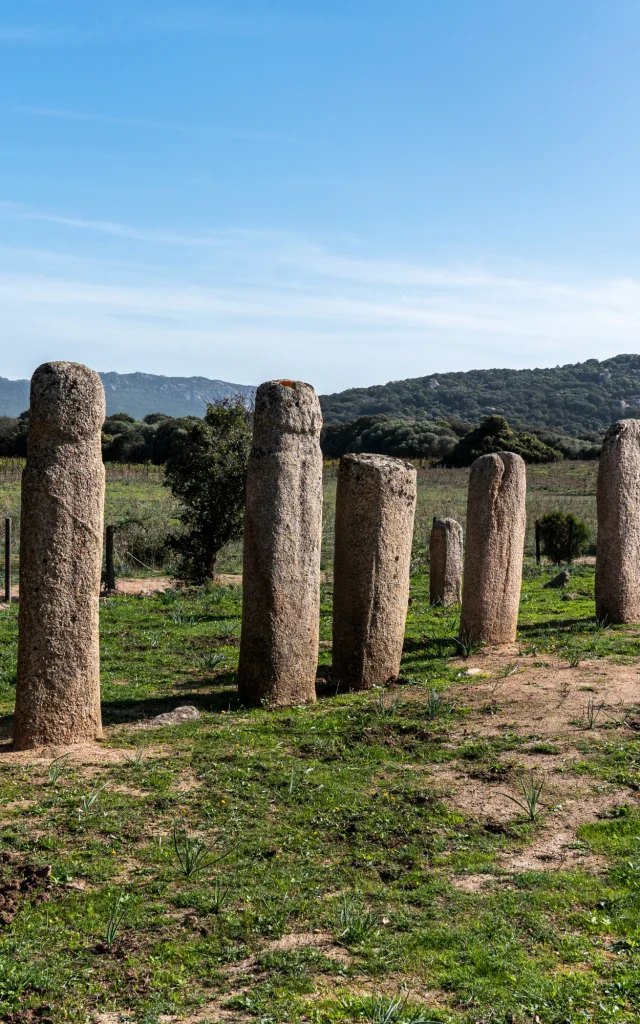 Alignement De Menhirs A Cauria