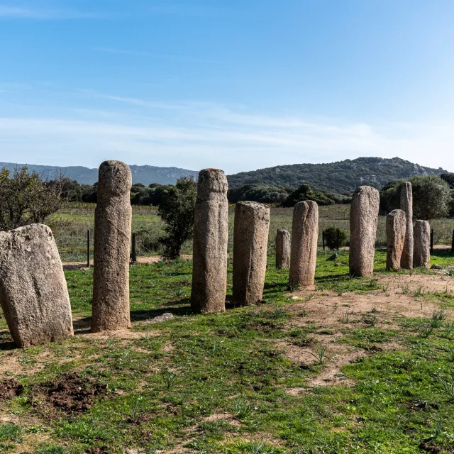 Alignement De Menhirs A Cauria