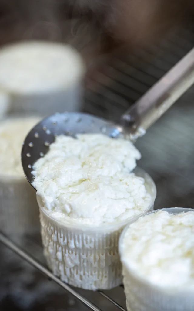 Fabrication Du Brocciu