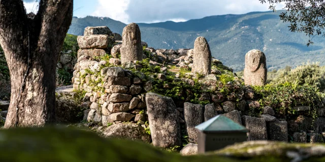 Filitosa Des Menhirs En Pleine Nature