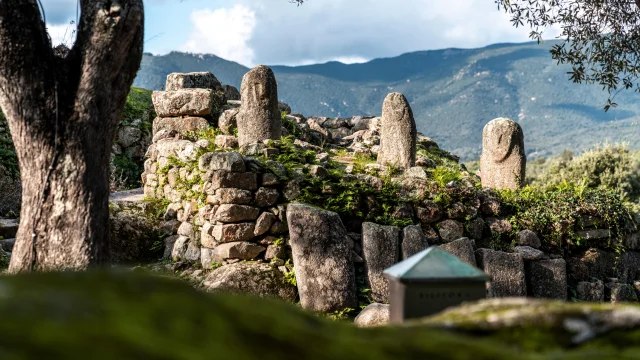 Filitosa Des Menhirs En Pleine Nature