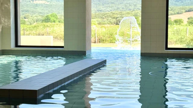 Piscine ouverte sur le maquis - Baracci