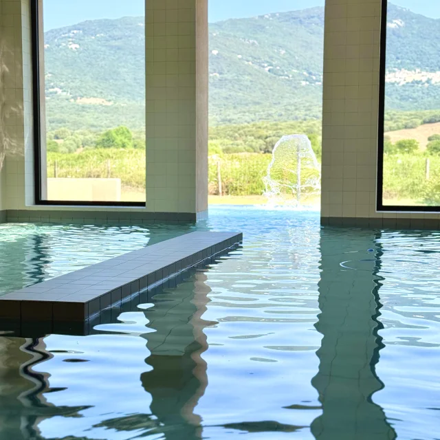 Piscine ouverte sur le maquis - Baracci