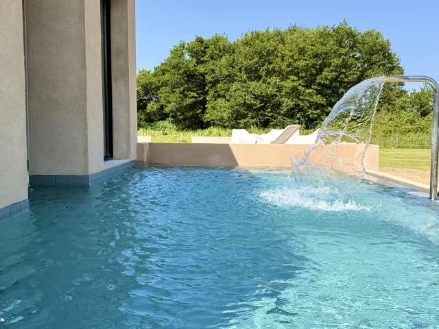Piscine extérieure en plein maquis Baracci