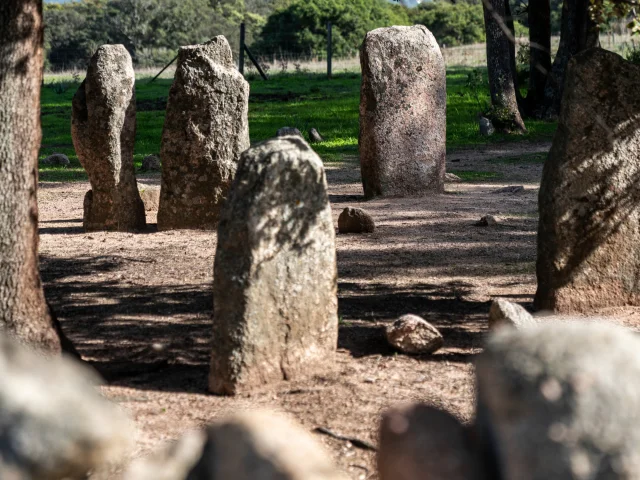 Les Menhirs De Cauria