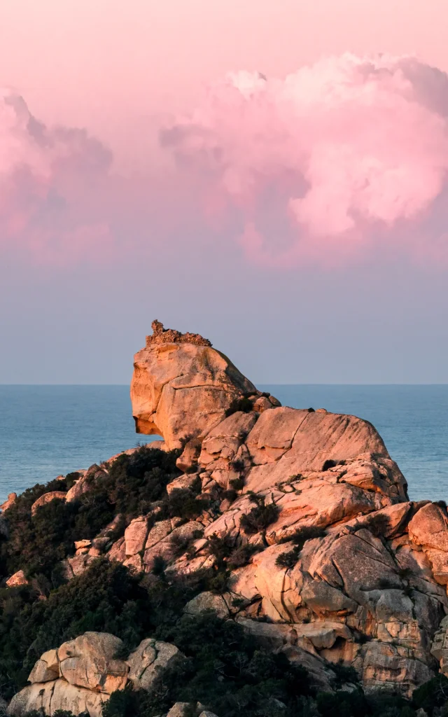 Lion De Roccapina