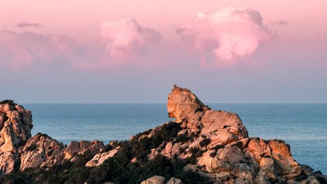 Lion De Roccapina