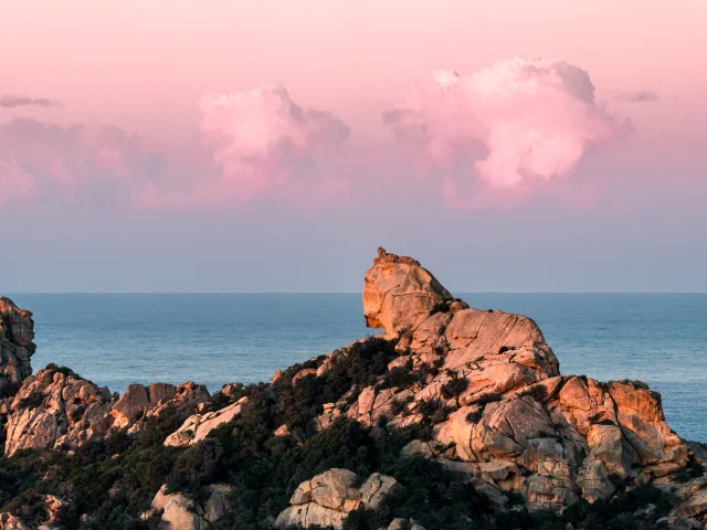 Lion De Roccapina