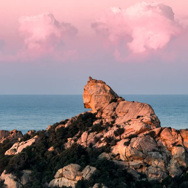 Lion De Roccapina