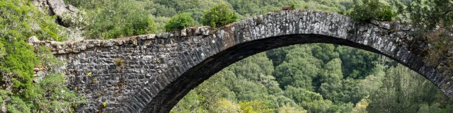 Pont génois d'Abra Sur Le Taravo