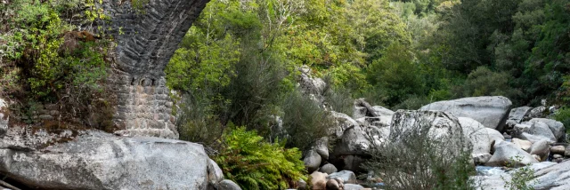 Pont Genois Dabra Sur Le Taravo