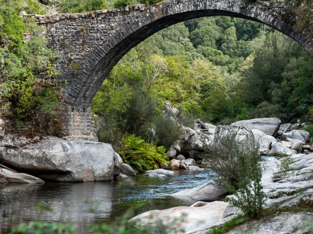Pont génois d'Abra Sur Le Taravo