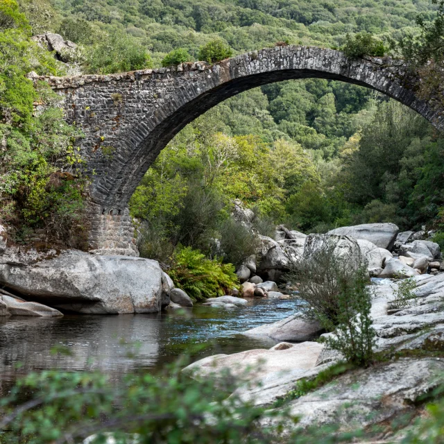 Pont Genois Dabra On The Taravo