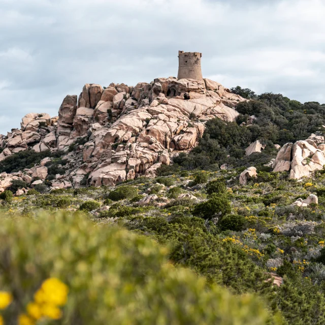 Tour Genoise De Senetosa