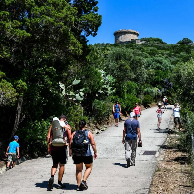 Sentier De La Tour 3 Bd 930x1024 1