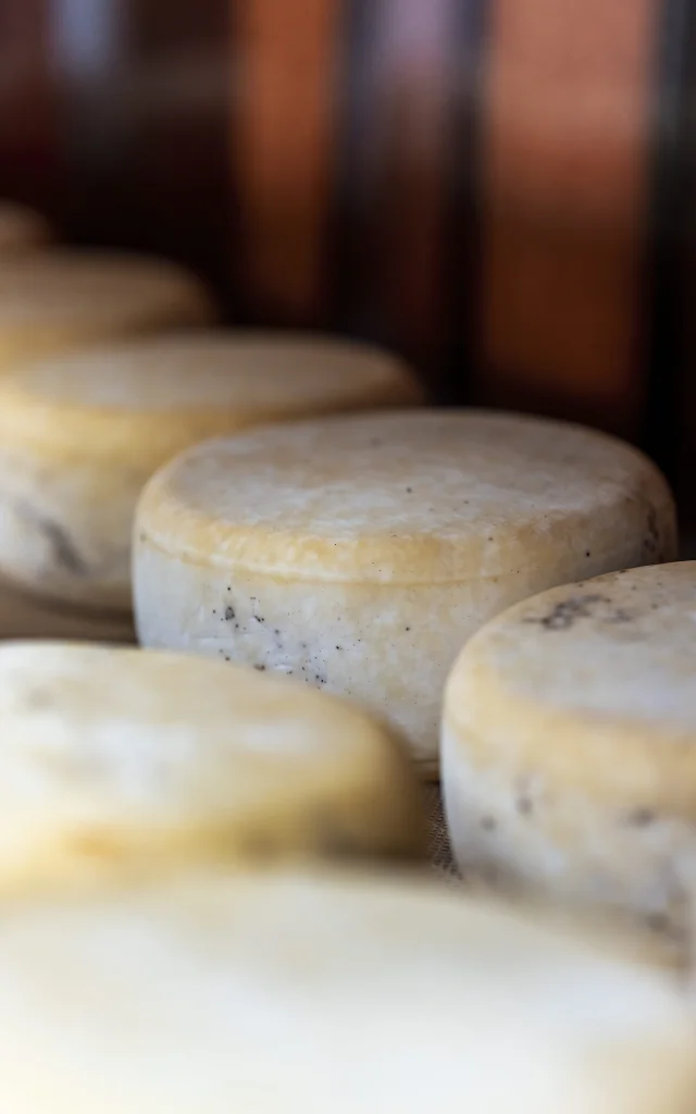 Tomme sartenaise à l'affinage