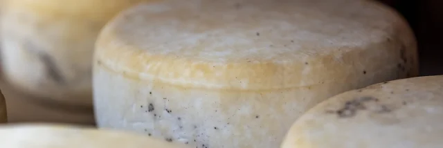 Tomme sartenaise à l'affinage