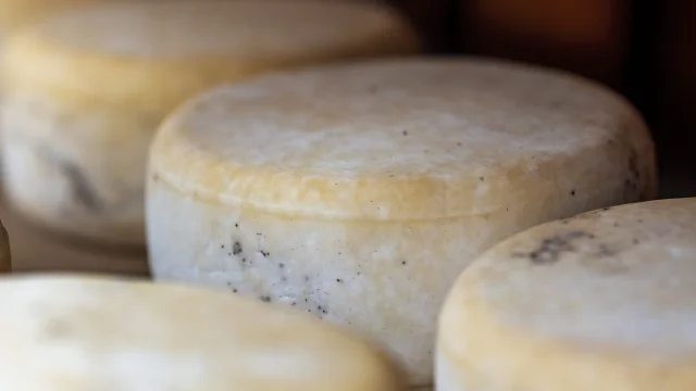 Tomme sartenaise à l'affinage