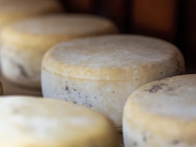 Tomme sartenaise à l'affinage