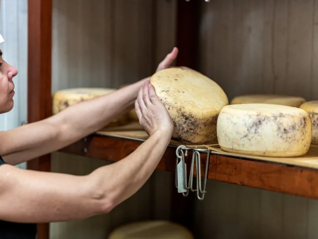 Fabrication de da Tomme Sartenaise