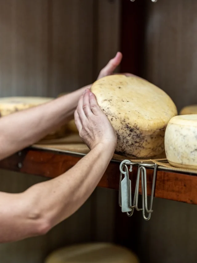 Fabrication de da Tomme Sartenaise