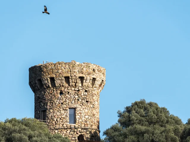 Tour génoise de Micalona
