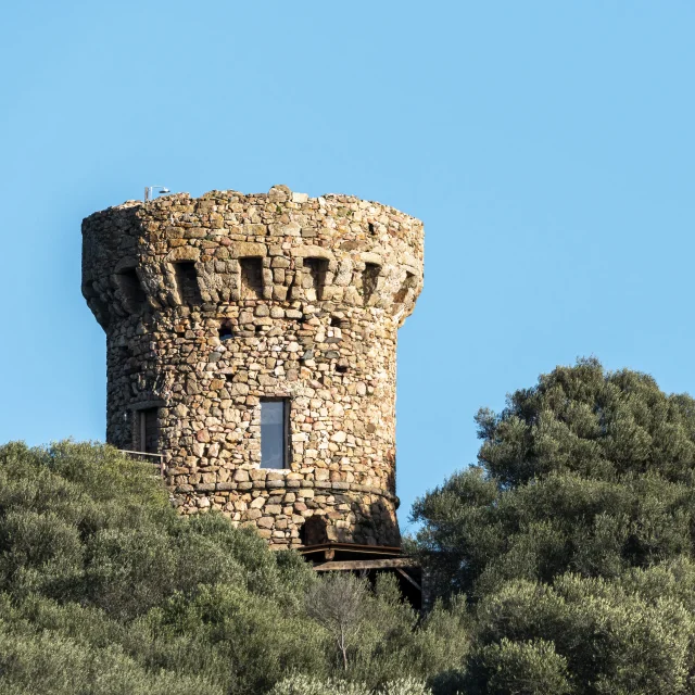 Tour génoise de Micalona