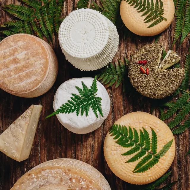 Instagram #roccapina