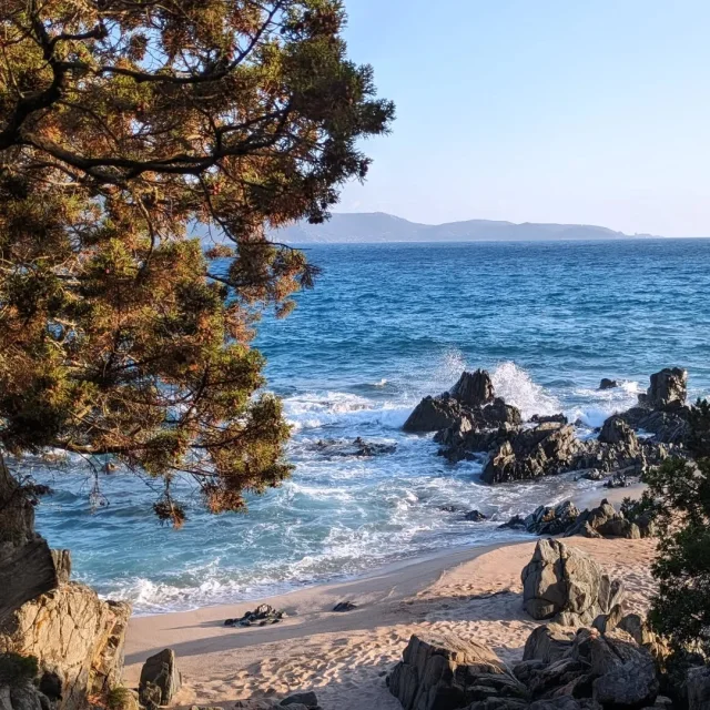 Instagram #corsedusud