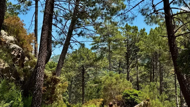 Instagram #corsedusud