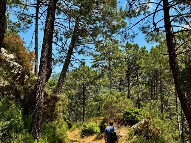 Instagram #corsedusud