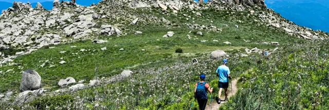 Randonnée Monte San Petru