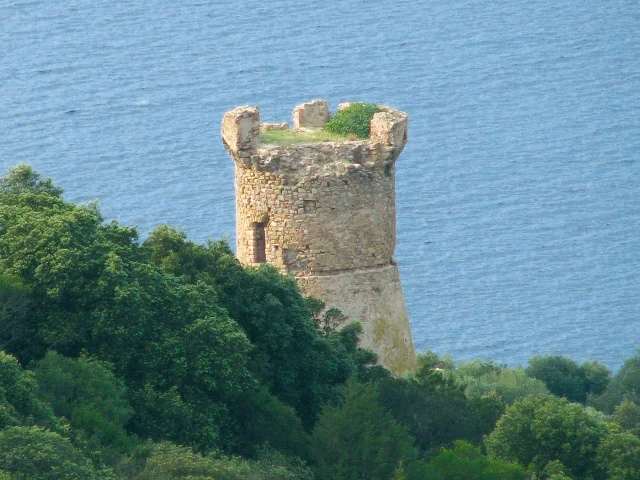 Tour génoise de Capanella