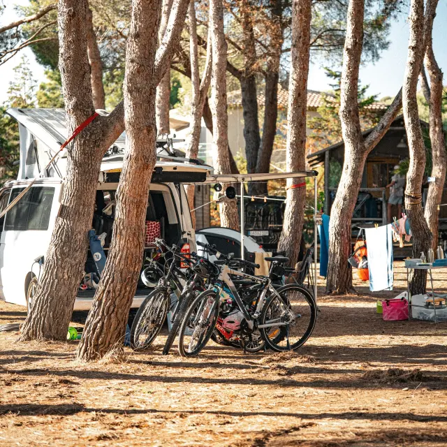 Instagram #corsedusud