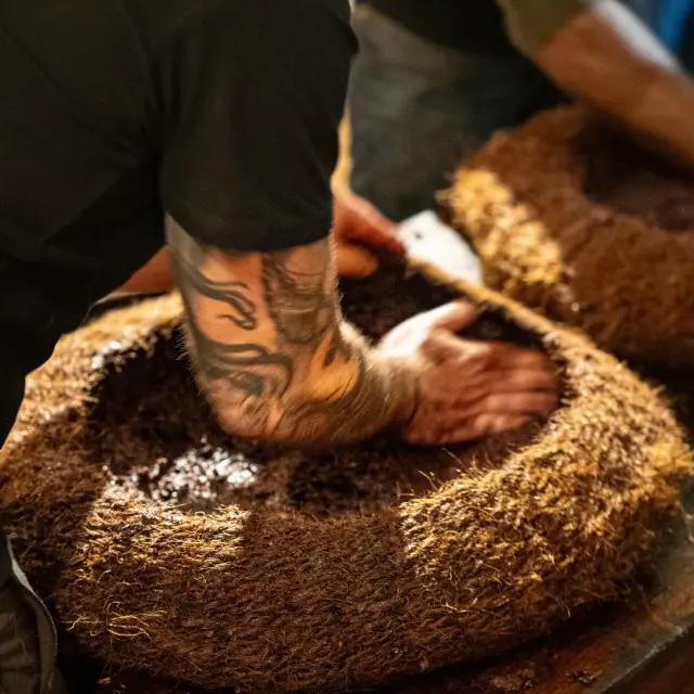 Instagram #corsedusud