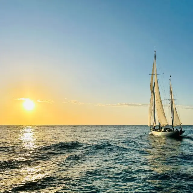 Instagram #propriano