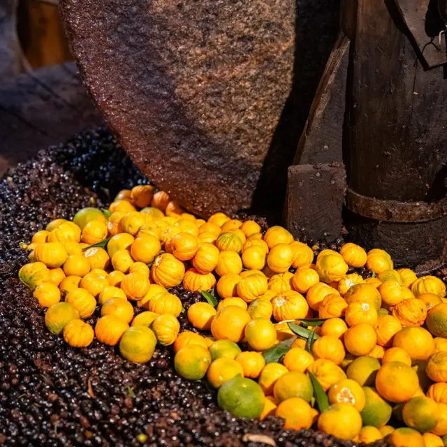 Instagram #corsedusud