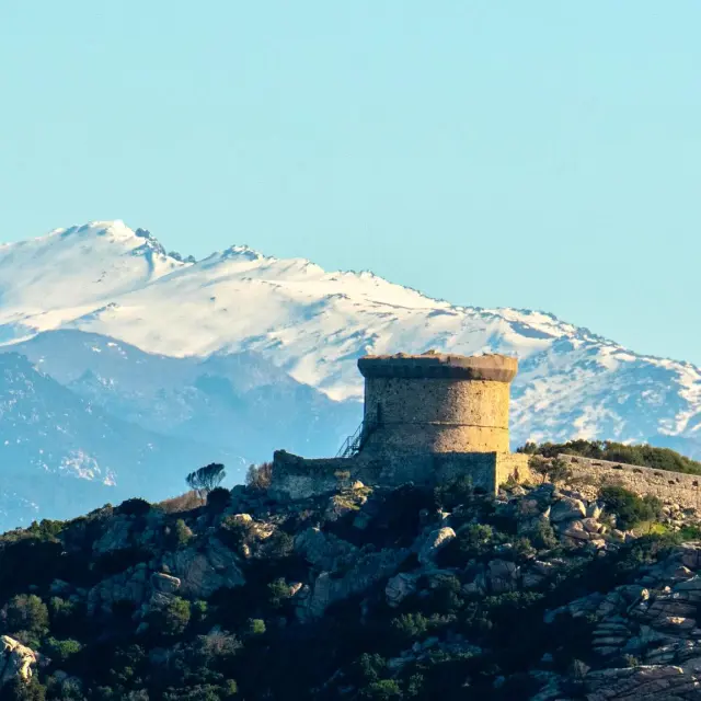 Instagram #propriano