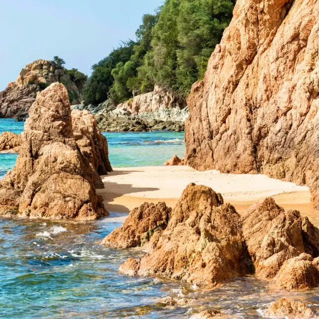 Instagram #lacorsedesorigines