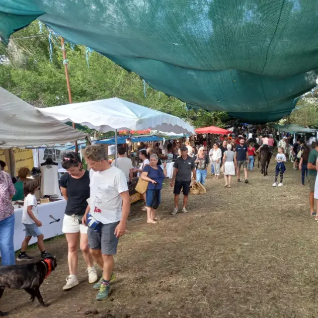 Foire de Filitosa
