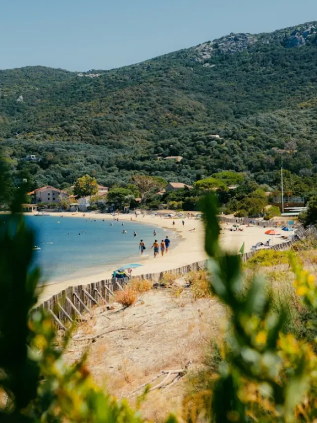 Campomoro et sa plage au cœur du village