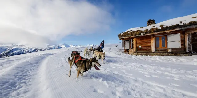 Traîneau à chiens tirés par des huskies dans un paysage enneigé