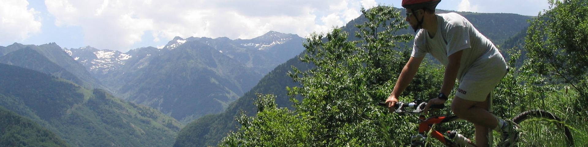 Mountain bike