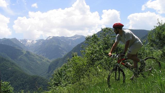 Vtt