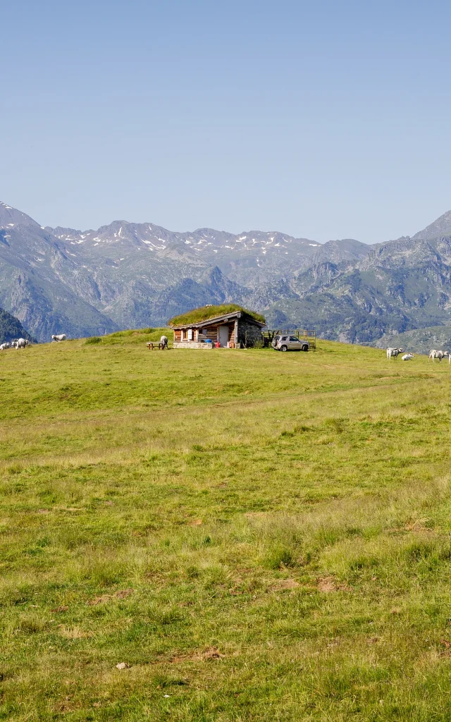 2022_vue_Beille_ete_cabane_des_isarges_ADT09_Stephane_Meurisse.jpg