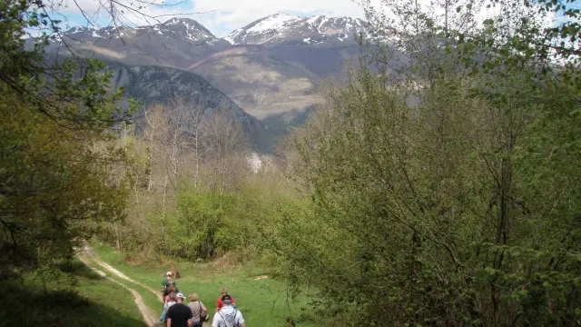 Group of hikers walking on a mountain trail
