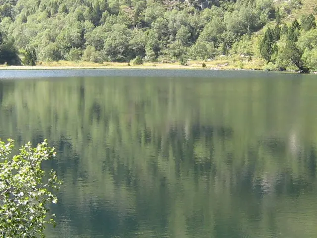 Lac paisible entouré de verdure avec des arbres reflétés dans l'eau